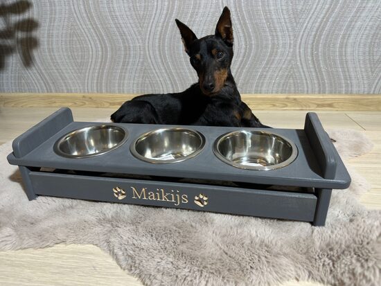 Personalizēta koka barotava – skaista dāvana tavam mīlulim (suņiem un kaķiem)